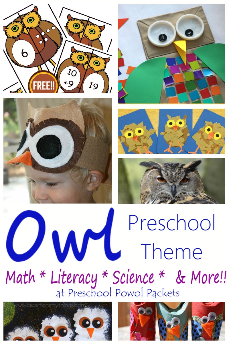 Preschool Math Owl Theme Activities Printables Preschool Math Owl Theme Activities Printables