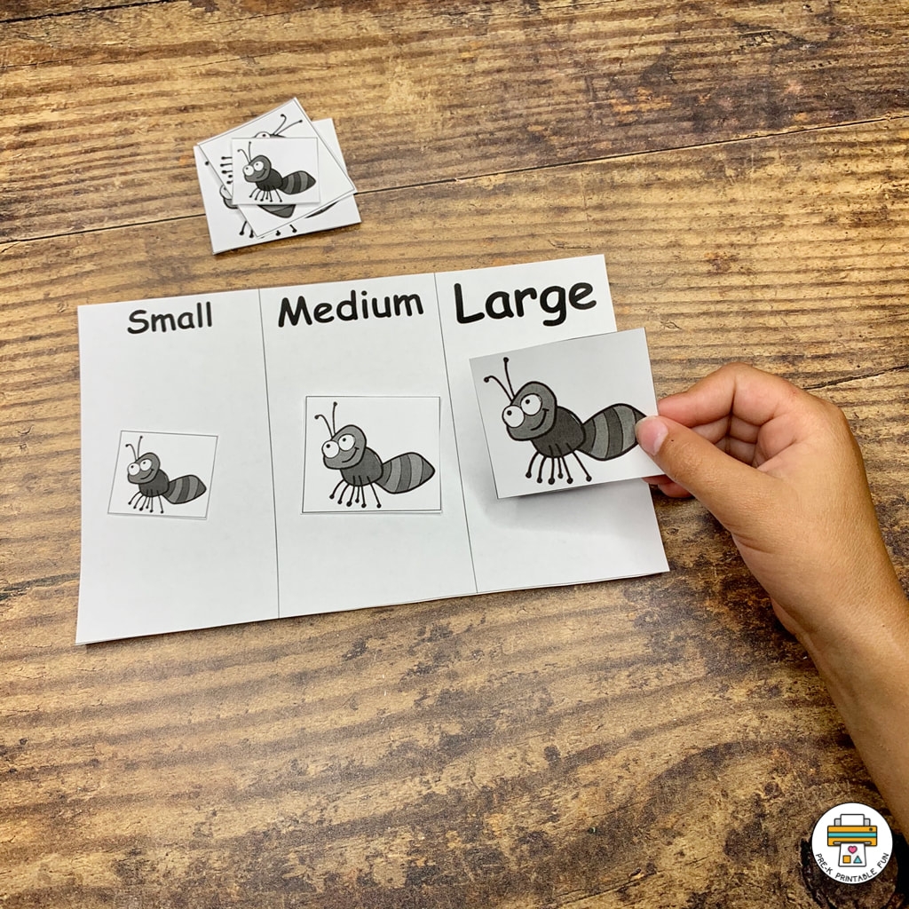 Picnic Preschool Activity Pack Pre K Printable Fun