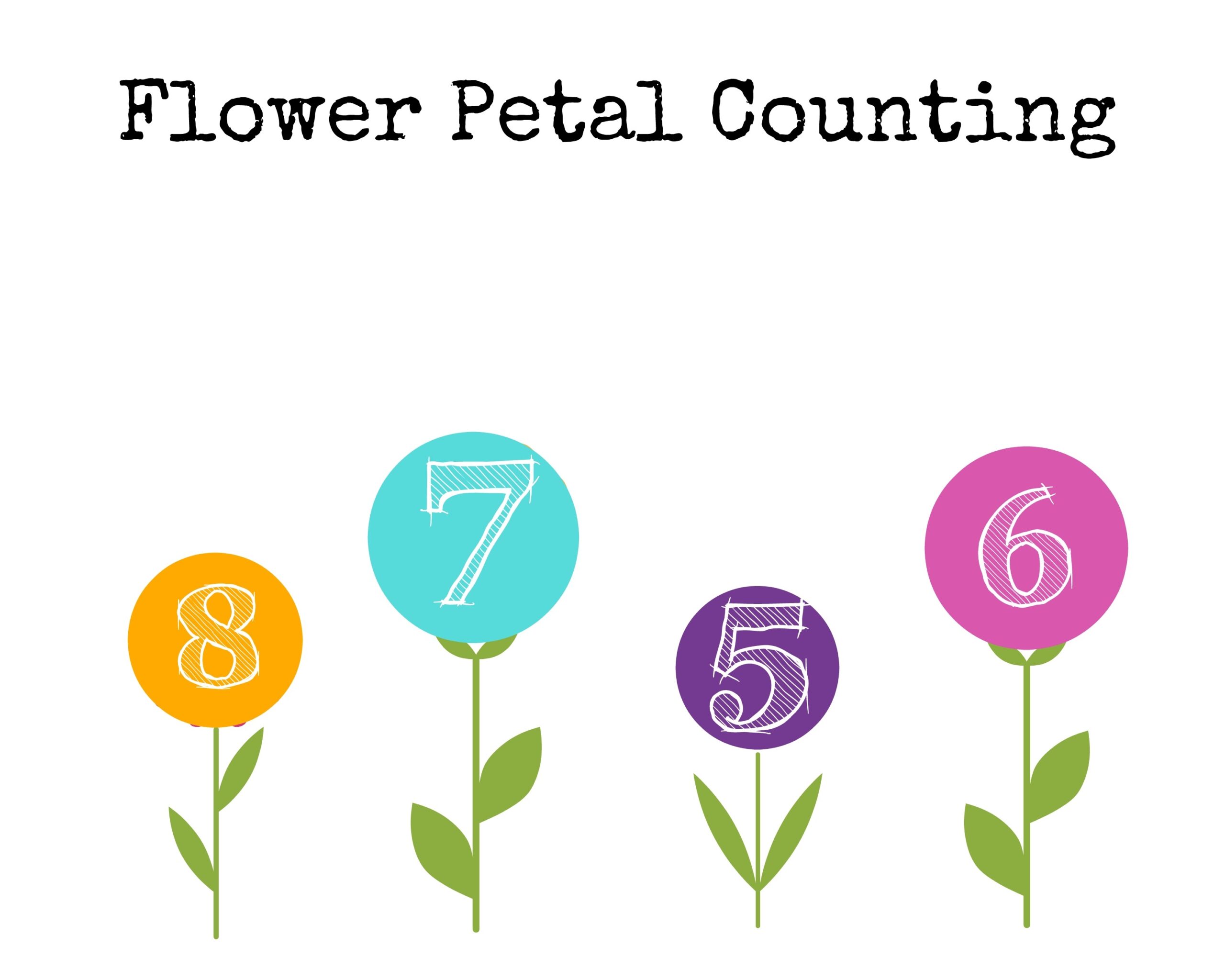 Printable Flower Math Activities For Preschoolers